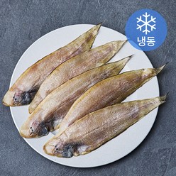 양포어장 국내산 손질 반건조 서대 5미 (냉동), 300g, 1개