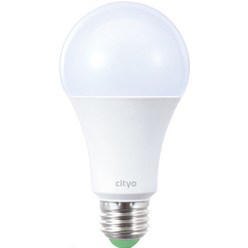 씨티오 LED 식물성장 해빛 램프 12W, 주백색, 1개