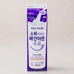 맛있는우유GT 소화 잘되는 배 안아픈 락토프리우유 저지방 & 프리바이오틱스, 900ml, 1개