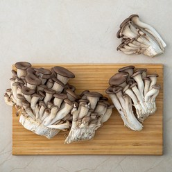 국내산 대용량 참타리버섯, 500g, 1개