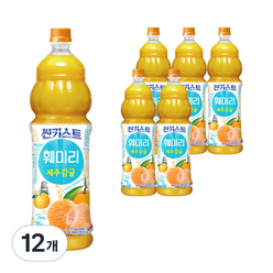 해태htb 썬키스트 훼미리 제주감귤, 1.5L, 12개