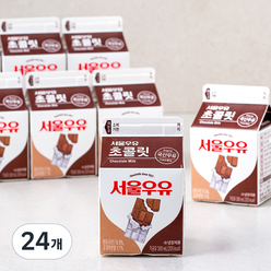 서울우유 초콜릿, 300ml, 24개