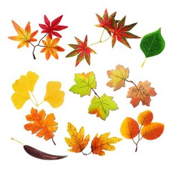 가을 낙엽 시리즈 조화 10종, 노란 플라타너스잎