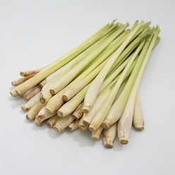 레몬그라스 300g Lemon grass 향신료, 1개