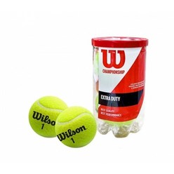 윌슨 챔피언쉽 테니스공 1캔 (2개입) 테니스 공, 그린