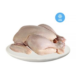 국내산 신선한 냉동닭 닭고기 11호 1kg 찜닭용 백숙 삼계탕 닭볶음탕 다양한요리, 1개