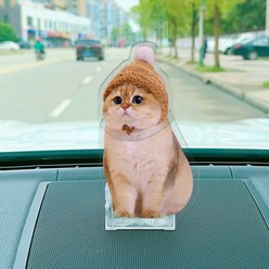 2D 아크리 고양이 장식품 차량 악세사리 차동자 피규어(머리 흔들 수 있어요), 혼합색상