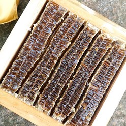 윤태준 꿀 벌집꿀 4kg 가정용 (일반포장) 벌집꿀+아이스박스