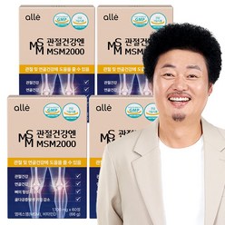 MSM 2000 엠에스엠 식이유황 관절 연골 뼈 골다공증 알레 1100mg, 4개, 66g