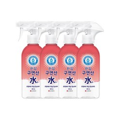 한입 구연산수 400ML_용기* 4개, 400ml