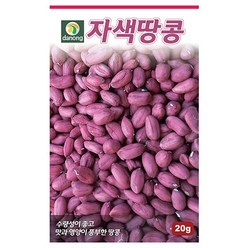 자색땅콩씨앗 20g 땅콩씨 곡류 씨앗 종자 다농 식물나라스토어 사은품약수저, 1개