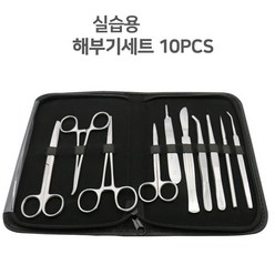 실습 해부기 세트(10pcs)(21-219) 과학실험 메스대 파키스탄, 10개