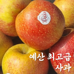 예산 최고급 퀄리티 엔비 사과, 1박스, 2kg