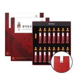천지양 활력 홍삼 2박스 + 쇼핑백, 300ml, 2개