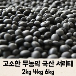 [지퍼백포장] 국산 무농약 서리태 2kg 4kg 6kg 약콩 검은콩 쥐눈이콩 콩 블랙빈 단백질