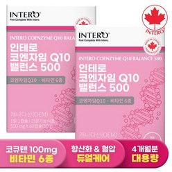 인테로 캐나다 코엔자임Q10 밸런스 500 코큐텐 2박스 (4개월분), 단품, 단품