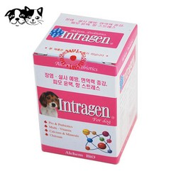 알켐바이오 인트라젠정 (200정) (강아지 영양제), 상세페이지 참조