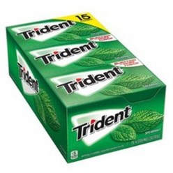 Trident 트리덴트 스피아민트향 무설탕 자일리톨껌 14개들이 15팩, 1개
