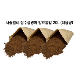 대용량 20L 톱밥 장수풍뎅이 사슴벌레 발효톱밥 굼벵이 브라더스, 굼브B(장수풍뎅이 전용) 20L