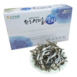 완도소안농협 멸치(대멸) 1 kg, 1박스