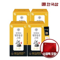 한국삼 정성담은 벌꿀 홍삼스틱 30포 x 4박스+쇼핑백, 단품, 단품