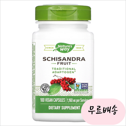 [네이처스웨이]-M2-오미자 Schisandra 스키잔드라 프루트 1160mg 100개입, 1개, 100개