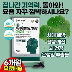 치매예방 뇌 영양제 기억력 감퇴 건망증 뇌건강 뇌세포 혈액순환 손가락 손 발 저림 노인성 치매 예방 개선 완화 코로나 건강기능식품 70대 할머니 할아버지 노인 영양제 추천, 6상자(6개월)