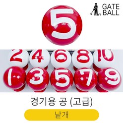 게이트볼 경기용 공 고급 1개 낱개 번호 색상별, 게이트볼 공-고급-1번