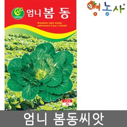 엄니 봄동배추 씨앗 20g 월동 배추 종자 춘동 영농사, 엄니봄동배추, 1개