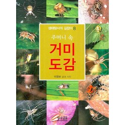 주머니 속 거미도감, 황소걸음, 이영보