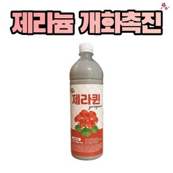 개화촉진