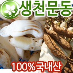 (당일채취발송) 5년근 생천문동 1kg 전북군산 천문동 농가 재배, 1개