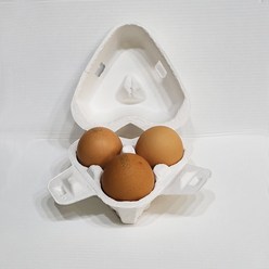 친환경 포장 3구 10개 종이계란판 달걀 포장 상자 알상자 공예 미술놀이 화이트색상