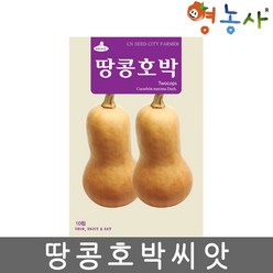 땅콩호박 씨앗 10립 덩굴성 버터향 호박씨 종자