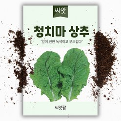 청상추씨앗 (3000립), 1개