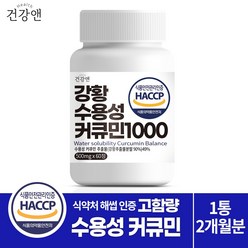 건강앤 HACCP 식약처 인증 나노 강황추출 90% 수용성 커큐민 49% 함유2달분 60정, 1개