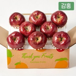 아삭달콤 경북 고당도 감홍 사과 과일선물 2kg(8~10과), 단품