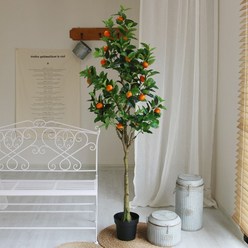 [천삼백케이] [윤자매네] 싱그러운 180cm 오렌지나무 조화 화분