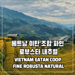 (커피생두) 24 베트남 이탄 조합 파인 로부스타 내추럴 1kg, 1개