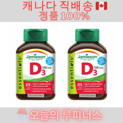 자메이슨 비타민D3 1000IU 375알 2병 캐나다 자미에슨 Vitamin D3, 1개, 375정