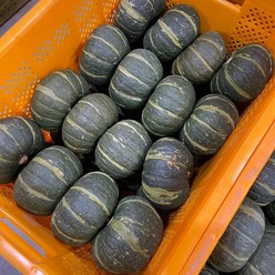 국내산 공중재배 미니밤호박 단호박, 1개, 10kg(13~17개)