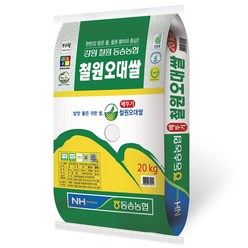 밥선생 동송농협 철원오대쌀 20kg, 1개