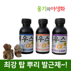 옹기와야생화 제우스알파 100CC 강력한 뿌리 발근제 수세회복 세력증강 액상영양제, 1개