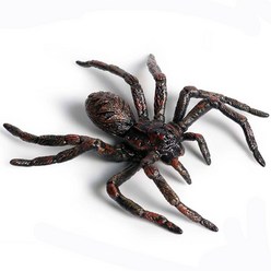 블랙 스파이더 모델 거미류 인형 시뮬레이션 곤충 할로윈 장면 과학 및 자연 교육 완구, Type 1