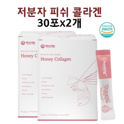 히알바이오틱스 히알루론산 유산균 남자 여자 엘라스틴 고함량 분말 가루 스틱, 1개, 60g