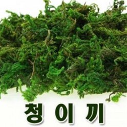 청이끼-약20g(1봉지)/006789/포장이끼/이끼, 1개