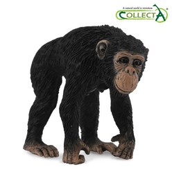 컬렉타 암컷 침팬지 야생 동물 피규어 장난감 모형