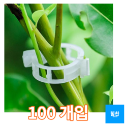 오이집게 100개 토마토 호박 포도 고추 클립 고추끈 매는 클립 고추홀더 유인집게 신형 오이유인줄 고추대클립 농업용집게 고추유인고리 접목집게 고추유인집게 고추지지집게