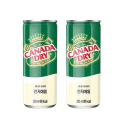 캐나다 드라이 진저에일 250ml x 12입, 12개