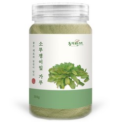 동의한재 국산 소루쟁이잎 가루 분말 300g, 1통